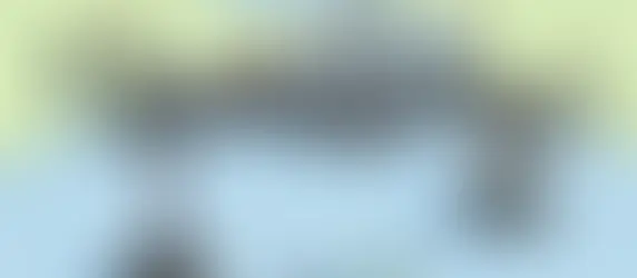 A Cartoon Message For Rachel Spencer: Pet Business Coach