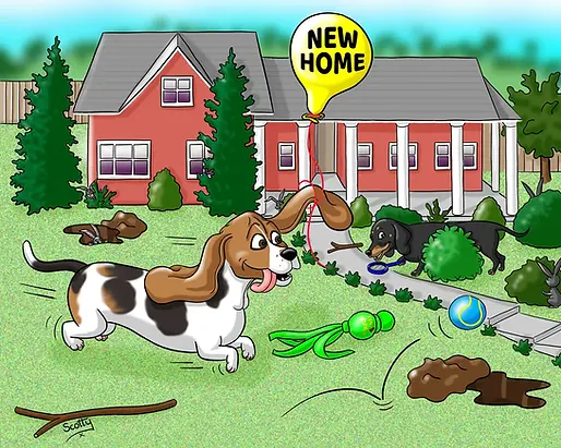 Basset hound and dachshund cartoon
