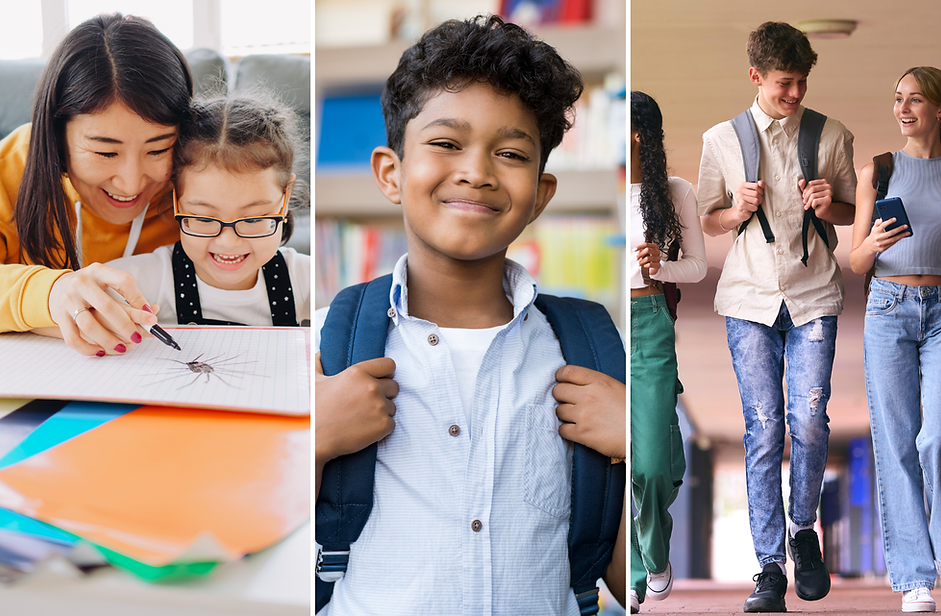 Mockup Homescreen page.png