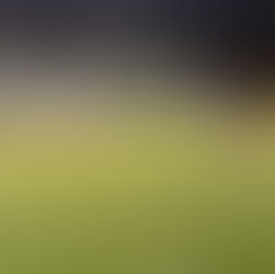 Marana flag football bounces back with win Arizona College Prep team