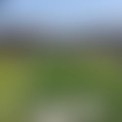 Highland flag football continues to prove contender status with latest win