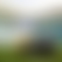 CFP: All eyes on south Florida for Penn State, Notre Dame semifinal clash