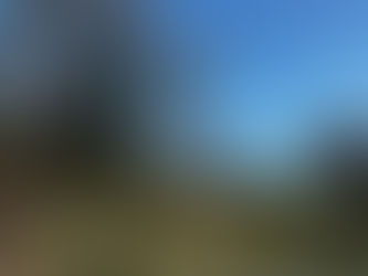 Hub in Heaton Park  March 18th 2026