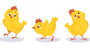 "DON'T 'GIVERET' ME!" - The Story of an Innocent Israeli Chicken