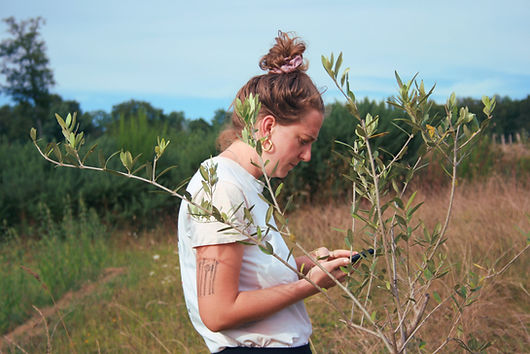 Membre de la ferme échangeant au téléphone au milieu des cultures