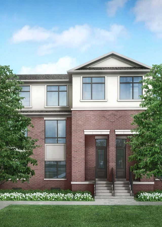 Couture Collectioin.webp