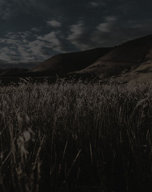 pexels-tim-mossholder-2323381 copy_edited.jpg