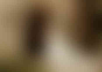 Premier regard de mariage au Québec