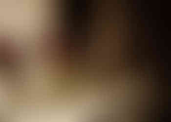 Décoration de réception de mariage, fleurschartreuse et bourgogne