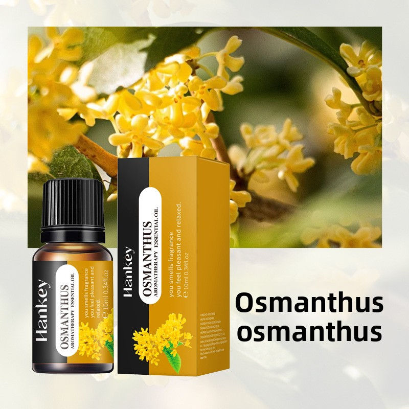 Thumbnail: Aromatherapy essential oils