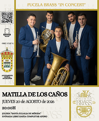 CARTEL PUBLICACION MATILLA.png