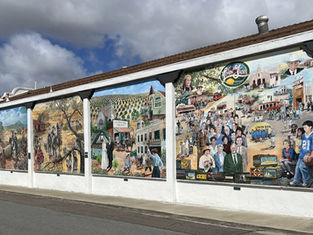 Lemon Grove Local Murals