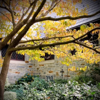 Fall in the Memorial Garden