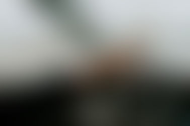 15-22 mars 2021 : Semaine de la courtoisie au volant