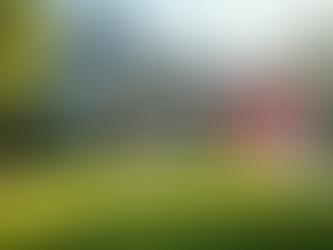 Understanding the Top 5 Reasons Real Estate Decisions Feel Overwhelming and How to Ease the Stress