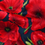 Thumbnail: Remembrance Poppy Poppies Handmade Facemask by Rolollo Canada