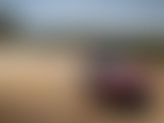 MRF Tyres wins the Italian Gravel Rally