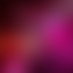 Ductape und Whole im Stereowerk in Braunschweig