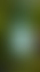 Seven Perfect Stocking Fillers for Foodies