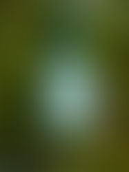 Seven Perfect Stocking Fillers for Foodies