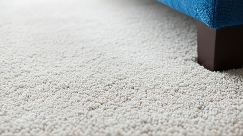 close-up of beautiful plush, wool and silk blend carpet and the hint of a blue chair leg