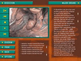 Thumbnail: Kid Science Pig Dissection