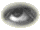 eye.gif