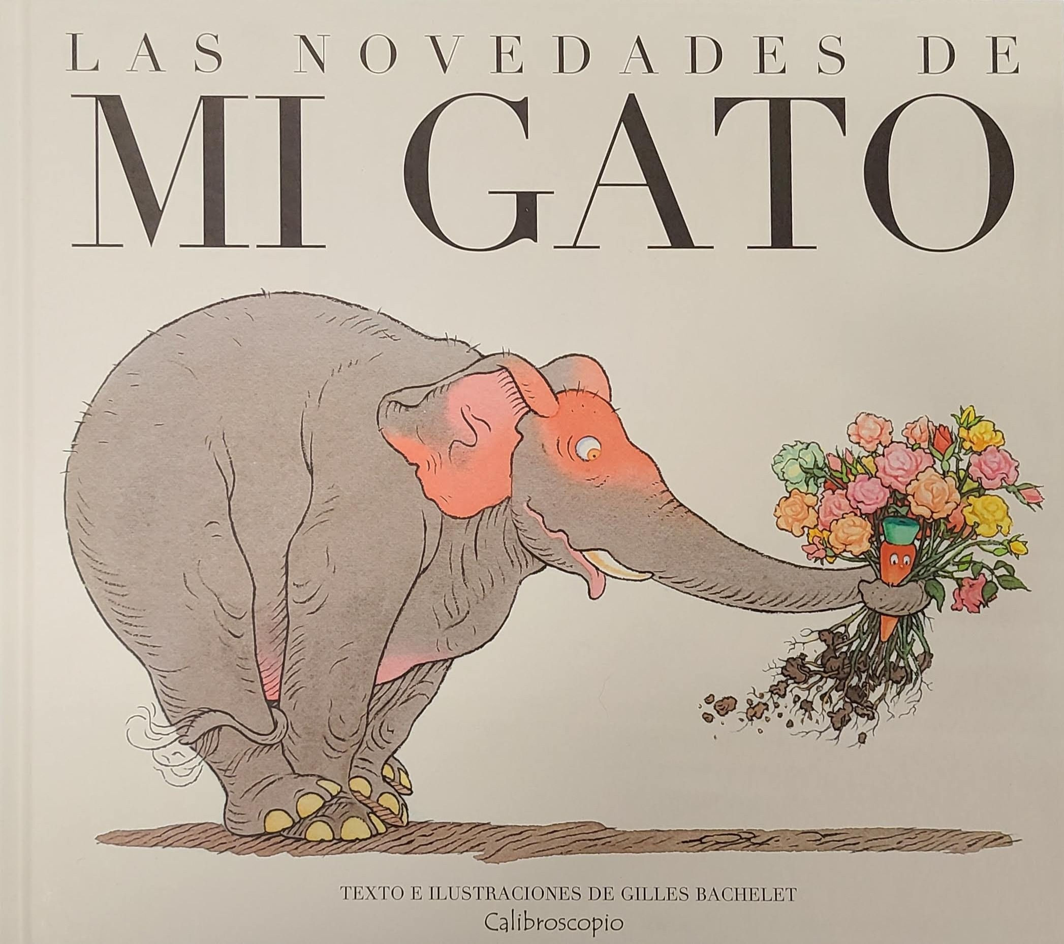 Las novedades de mi gato