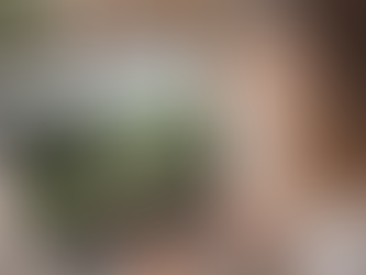 Part VIII — Does Extra Virgin Olive Oil Contain Heavy Metals, Microbes, or Allergens? | PJ Kabos Guide