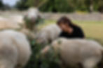Melanie und die Schafe