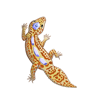 Gecko.png