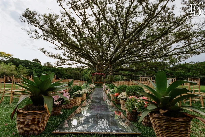 casamento diurno realizado em porto alegre rs no alto da capela por life eventos especiais cerimonialista wedding planner especializada em casamentos de alto padrão em porto alegre decoração boho chic botânica em tons de nude rosa e verde por life eventos especiais