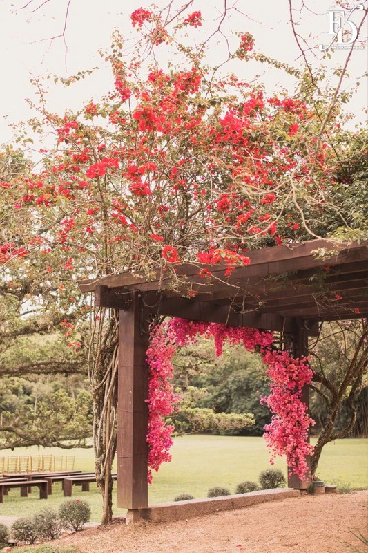 casamento diurno almoço de domingo em família no alto da capela cerimônia ao ar livre