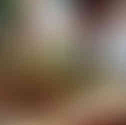 casamento realizado na casa da figueira em porto alegre com cerimônia ao ar livre e decoração estilo boho rústico chic com flores e paisagismo botânico com suculentas em tons de marsala verde e rosa por life eventos especiais assessoria e cerimonial para casamentos em porto alegre