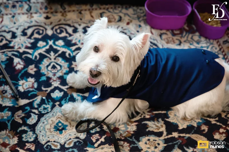 casamento no espaço paraíso em porto alegre com decoração moderna em azul marinho, dourado e girassóis; temática geek, com referências a funko pop, filmes e séries - por life eventos especiais