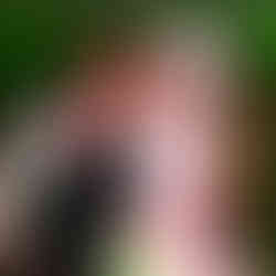 casamento com cerimônia a recepção no salão foyer do grêmio náutico com decoração clássica clean minimalista em dourado branco e laranja por life eventos especiais cerimonial de casamento em porto alegre