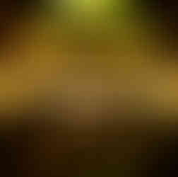 casamento com cerimônia na igreja são pedro em porto alegre e recepção no salão bavária da sociedade germânia em porto alegre com decoração clean clássica em prata e amarelo por life eventos especiais cerimonialista para festa de casamento em porto alegre