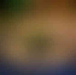 evento corporativo de premiação dos melhores do ano realizado no salão leopoldina da associação leopoldina juvenil em porto alegre com coordenação operacional de life eventos especiais assessoria e cerimonial em porto alegre