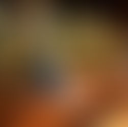 Casamento Espaço Paraíso Porto Alegre, Casamento ao ar livre pôr do sol, Decoração botânica azul e branco, Casamento moderno sem protocolo, Cerimonialista de casamento RS, Life Eventos Especiais.