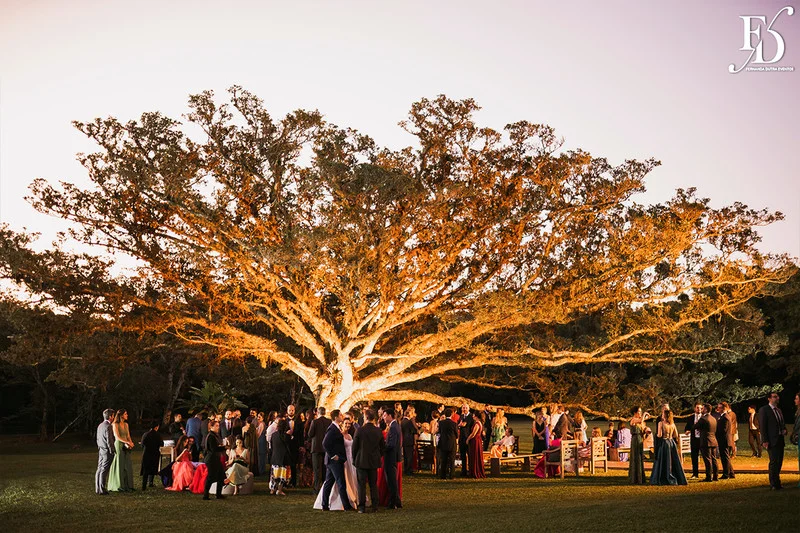 casamento com cerimônia realizada às 15h na Basílica Nossa Senhora das Dores em Porto Alegre e recepção no Alto da Capela. Coquetel na área externa embalado com jazz e por-do-sol, jantar formal, decoração exuberante e linda, em estilo botânico e muitas cores, luxuoso e lindo, por Life Eventos Especiais