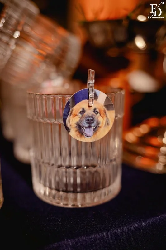 festa de formatura porto alegre publicidade e propaganda ipanema sports bubbles azul e prata por life eventos especiais