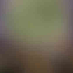 casamento com cerimônia na catedral basílica são luiz gonzaga em novo hamburgo e recepção no espaço tao com decoração clássica simples com muitas luzinhas por life eventos especiais cerimonialista de casamento em porto alegre