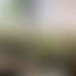 casamento com cerimônia na catedral basílica são luiz gonzaga em novo hamburgo e recepção no espaço tao com decoração clássica simples com muitas luzinhas por life eventos especiais cerimonialista de casamento em porto alegre