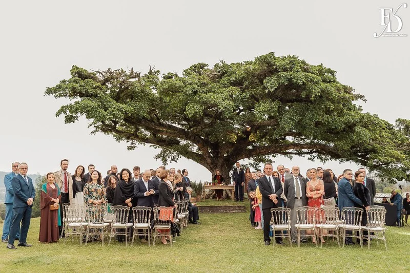 casamento no espaço paraíso em porto alegre alvorada viamão decoração com inspiração italiana limão siciliano temperos frescos e flores coloridas