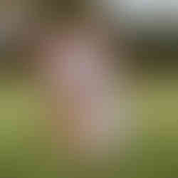 casamento ao ar livre em porto alegre realizado na casa na chácara por life eventos especiais com decoração boho chic em verde e branco cerimonialista de casamentos em porto alegre