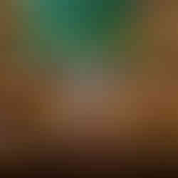 casamento realizado na casa da figueira em porto alegre com cerimônia ao ar livre e decoração estilo boho rústico chic com flores e paisagismo botânico com suculentas em tons de marsala verde e rosa por life eventos especiais assessoria e cerimonial para casamentos em porto alegre