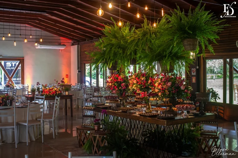 Decoração aérea com samambaias e mesas de madeira em casamento rústico chique.