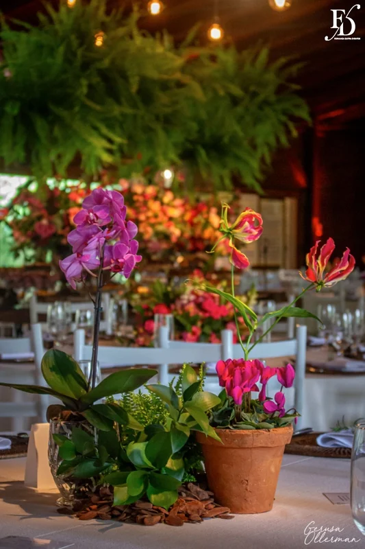 casamento no sítio da figueira mesa de convidados