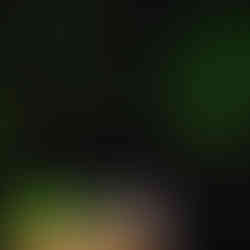 casamento com cerimônia na catedral basílica são luiz gonzaga em novo hamburgo e recepção no espaço tao com decoração clássica simples com muitas luzinhas por life eventos especiais cerimonialista de casamento em porto alegre