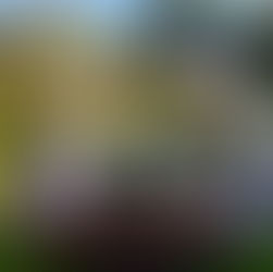 Renata ♥ Ricardo | Casamento | Mini-Wedding | Sintra | Portugal